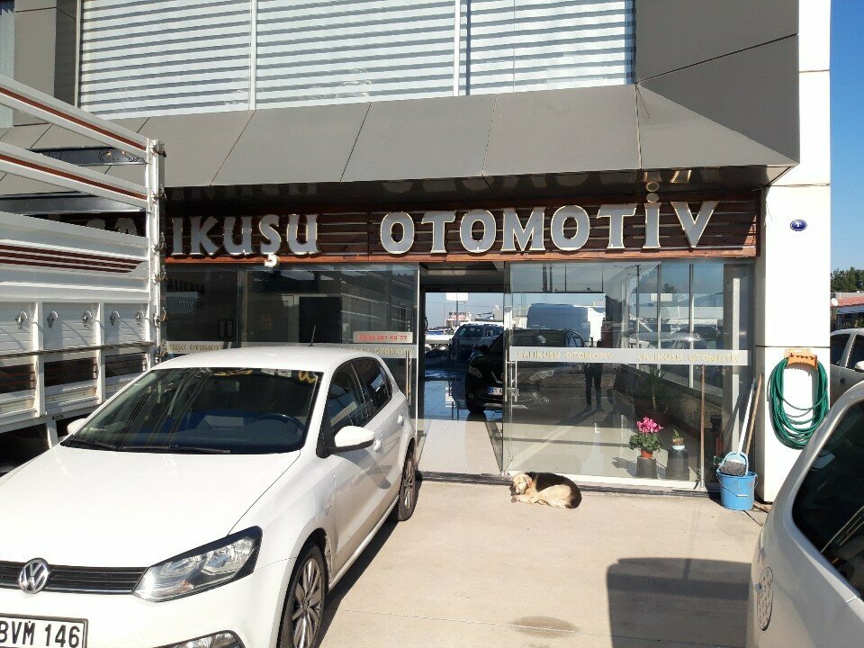 Car dealership Calikusu Automotive, Izmir, photo