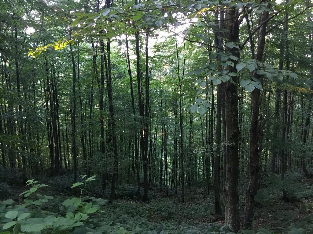 Hostel Ogzala Çiftligi, Basiskele, photo