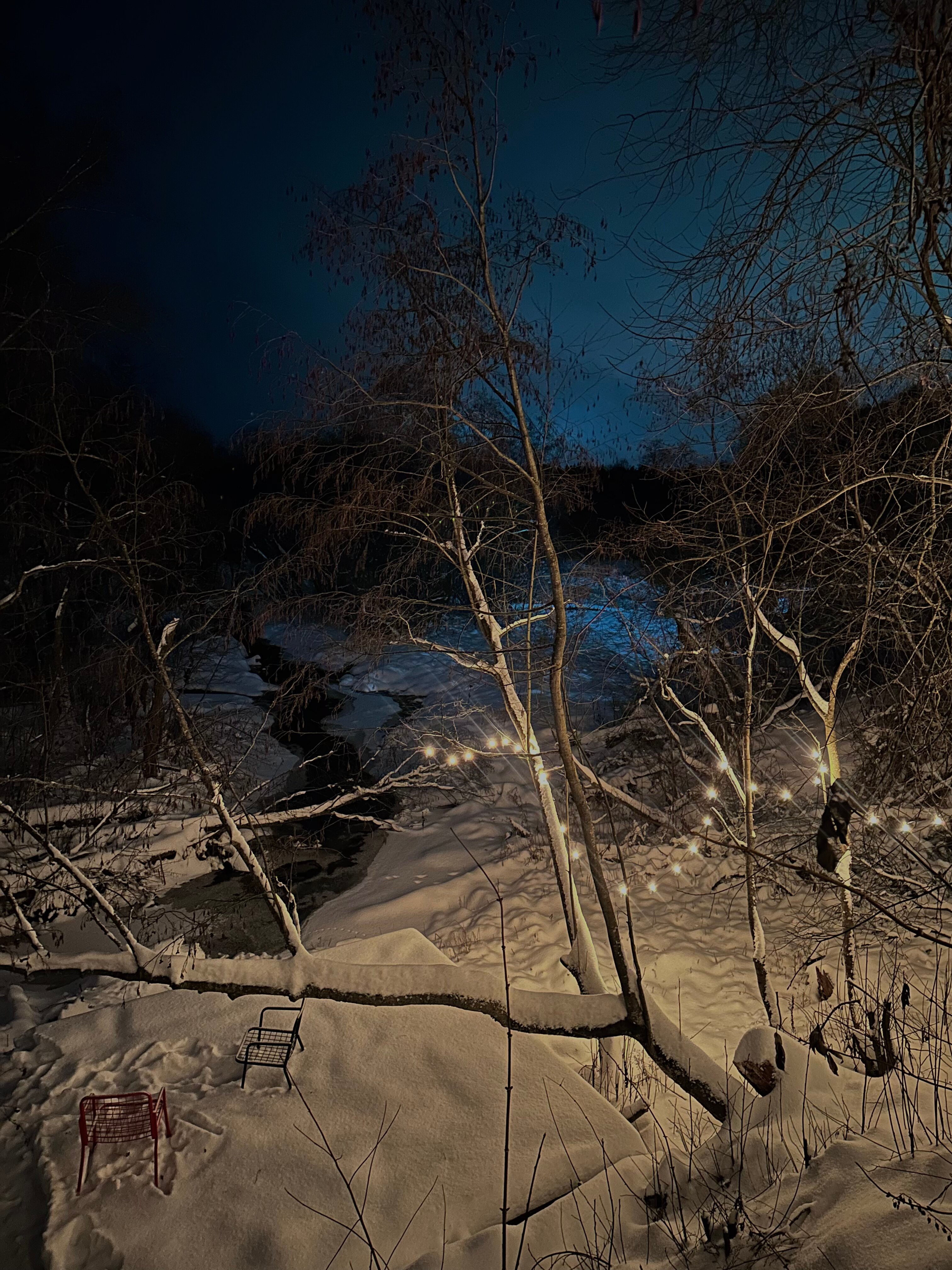 Фото Вудхаус