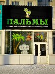 Пальмы (ulitsa Partizana Zheleznyaka, 50), organization of children events