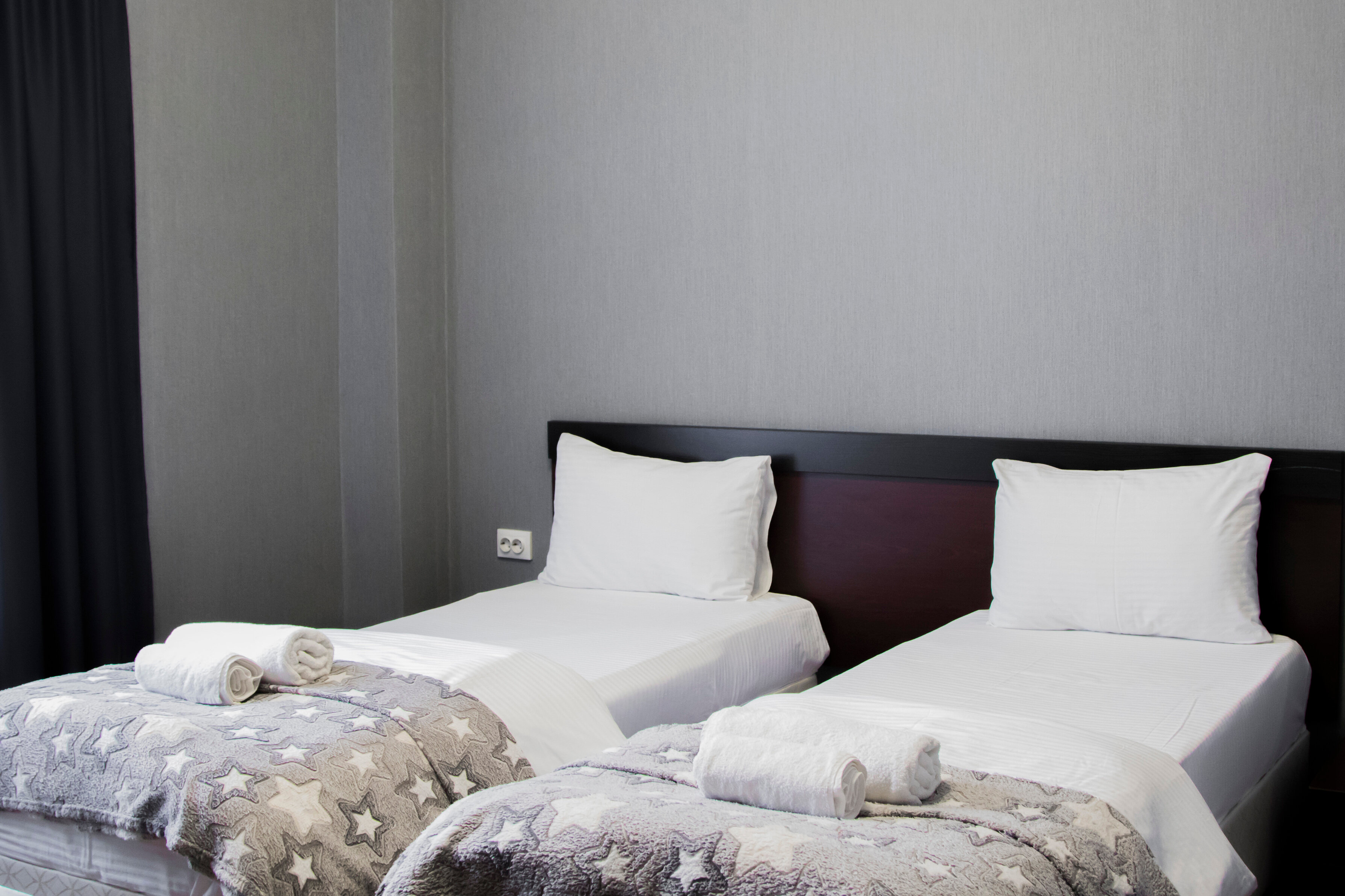 Фото Абрикос