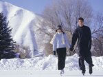 Buzluk Buz Pisti (İstanbul, Atasehir, Yenisahra Mah., İstiklal Cad., 10), ice rink