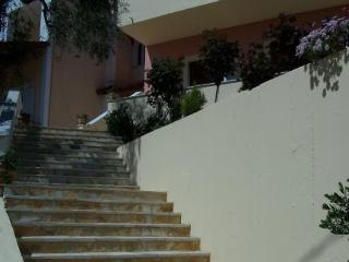 Фото Roza Studios