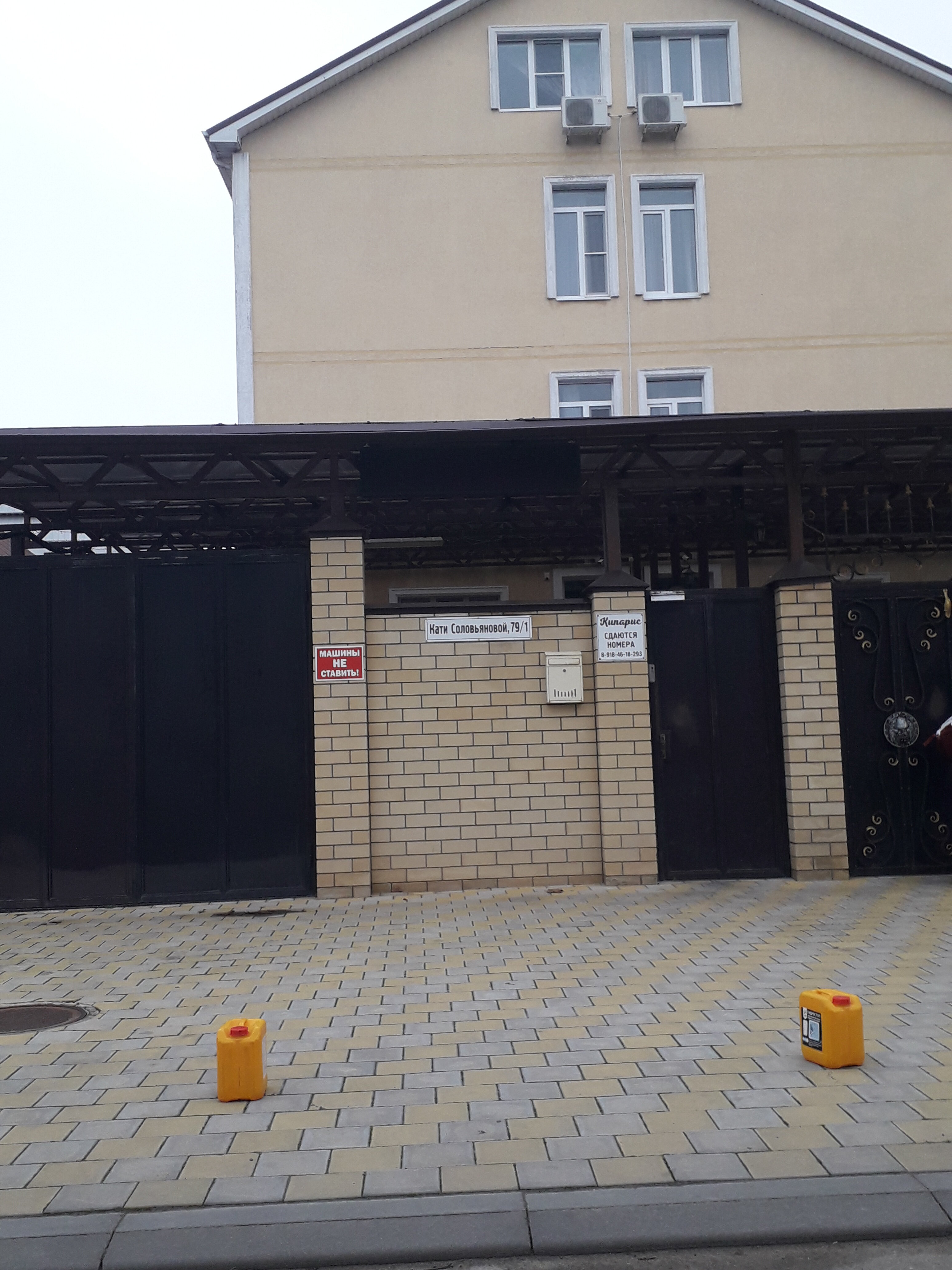 Фото Кипарис