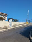 Izmir Forest Management Directorate Tree (İzmir, Buca, Doğuş Cad.), forest management, reforestation