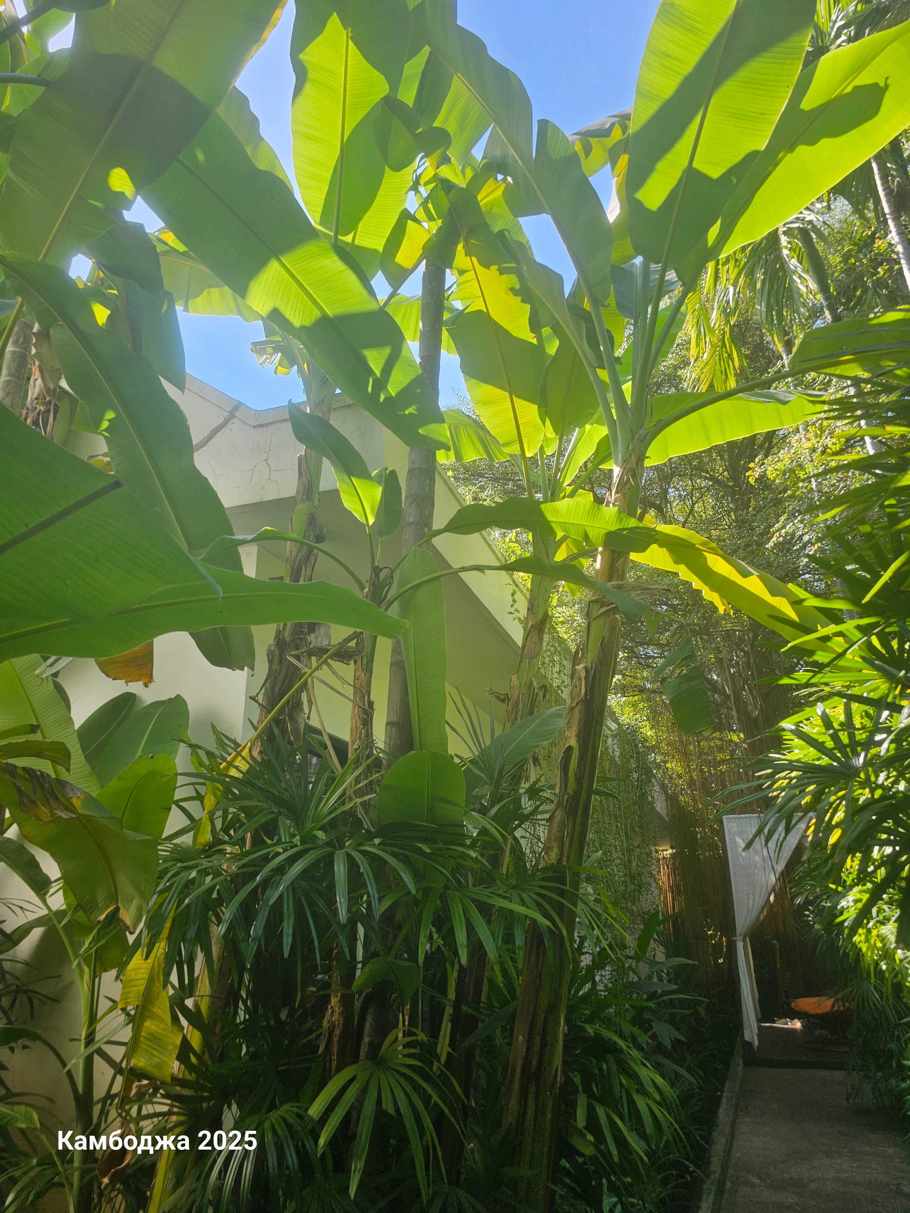 Фото Lynnaya Urban River Resort