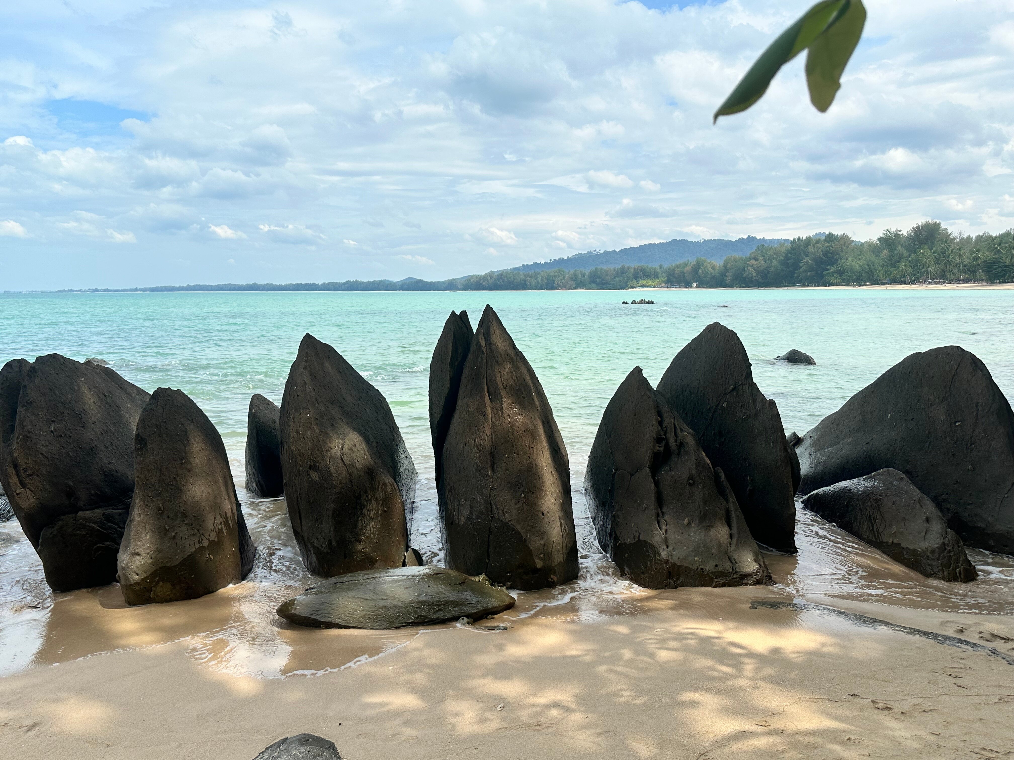 Фото Palm Galleria Resort