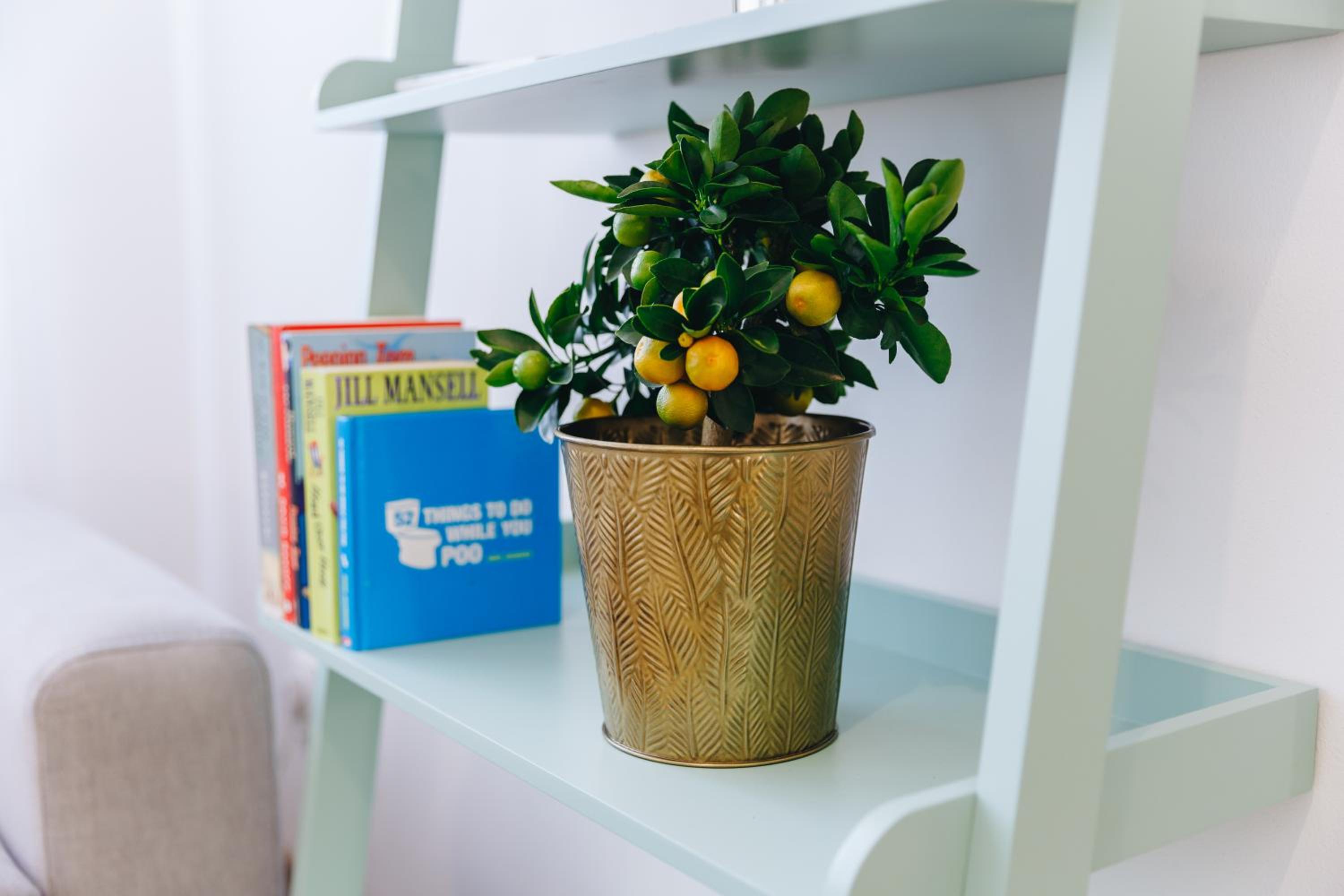 Фото Chill Apartments