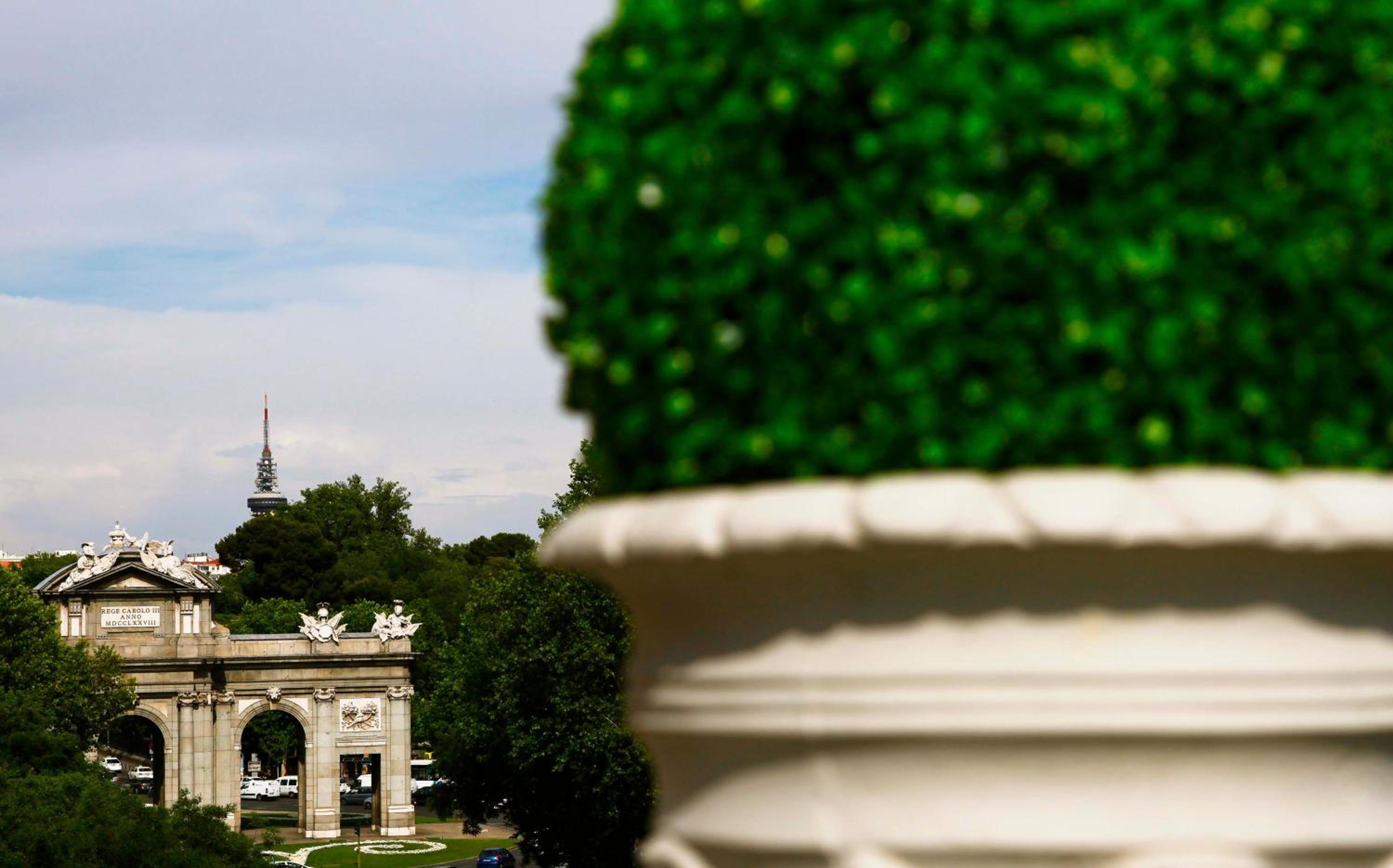 Фото Boutike Cibeles