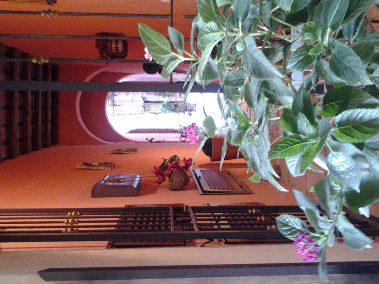 Фото Il Cortile Fiorito