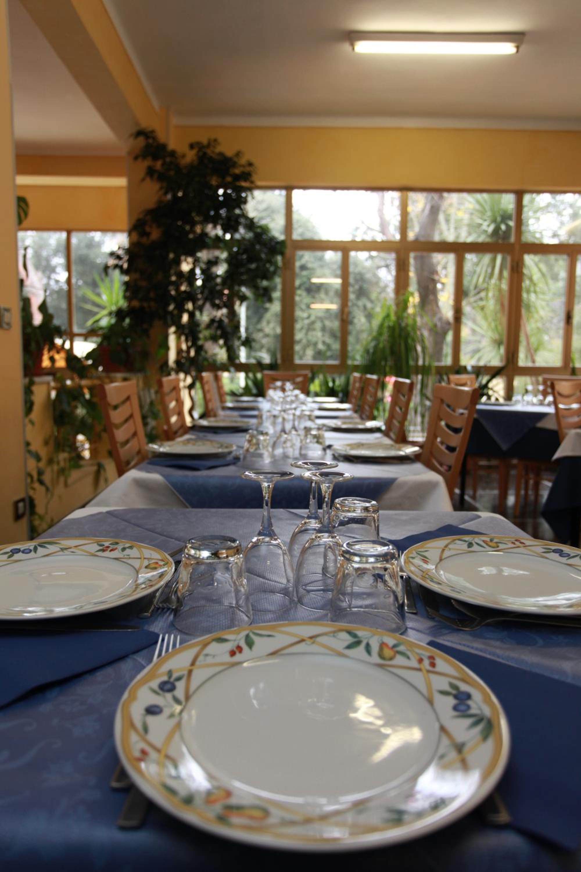 Фото Hotel Athena