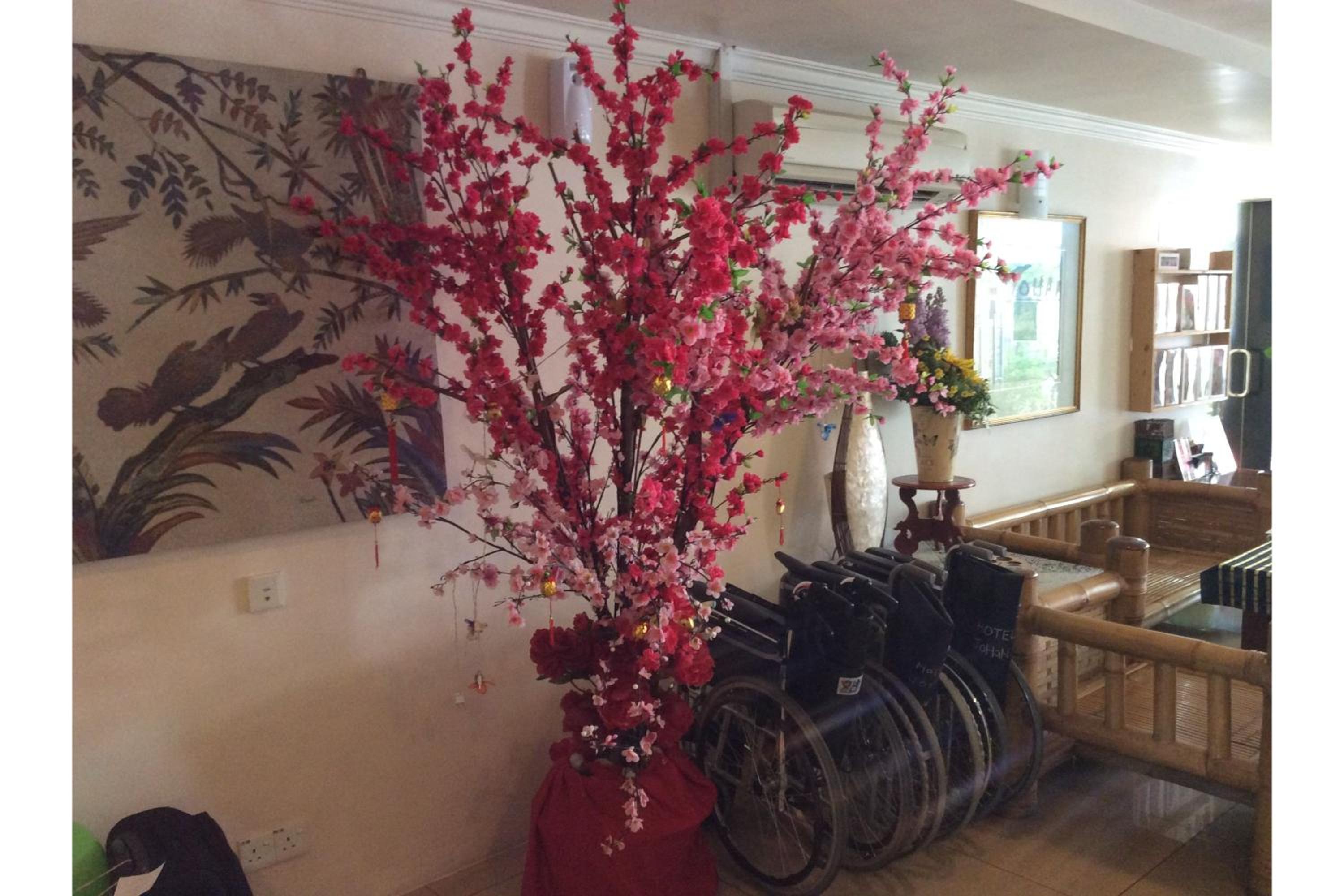 Фото Hotel Johan