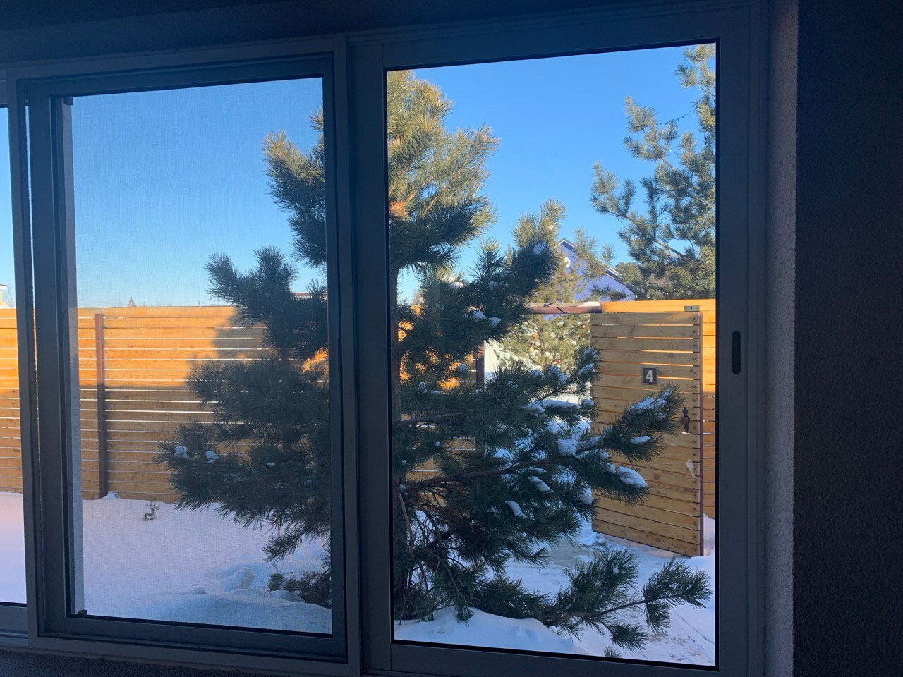 Фото Совушка