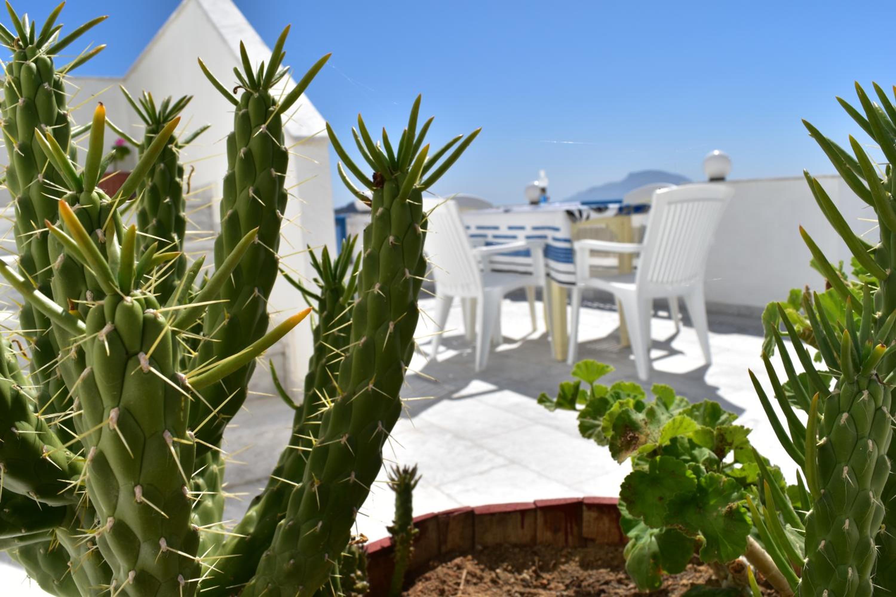 Фото Arhontiko Hotel