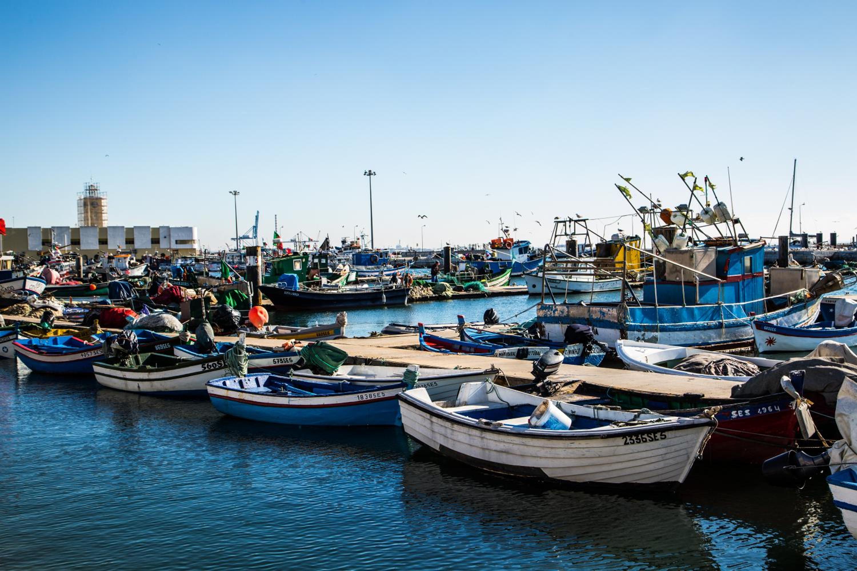 Фото Hotel Solaris