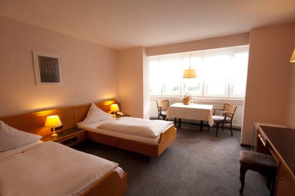 Гостиница Hotel Goldinger