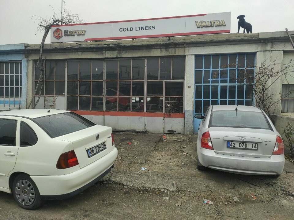 Engine repairs Gold Lineks, Konya, photo