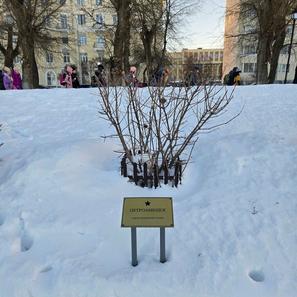 Nature Сирень Петрозаводск - город воинской славы, Arkhangelsk, photo