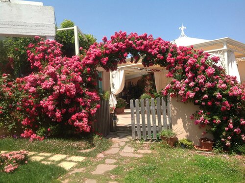 Гостиница Park Hotel Asinara