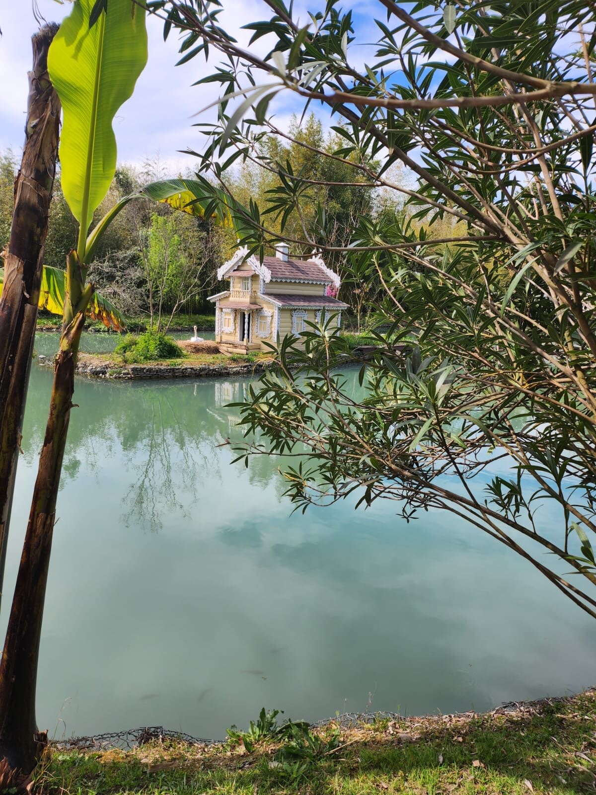 Фото Апельсин