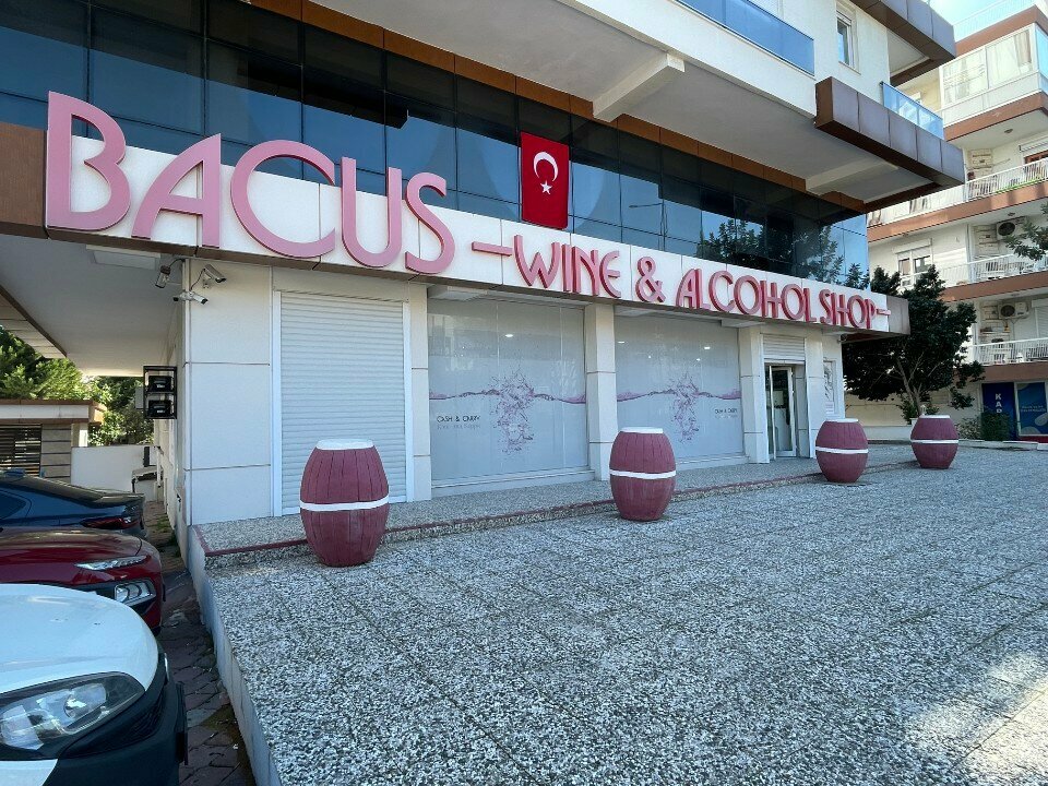 Alcoholic beverages Bacus, Antalya, photo