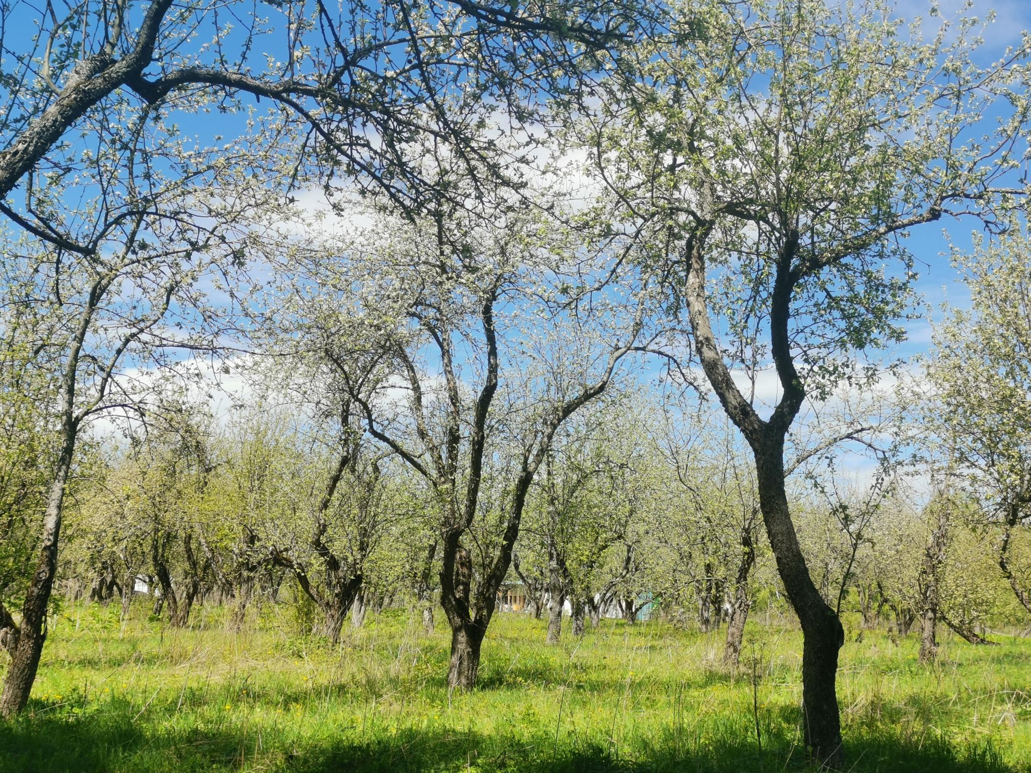 Фото Усадьба Косолапово