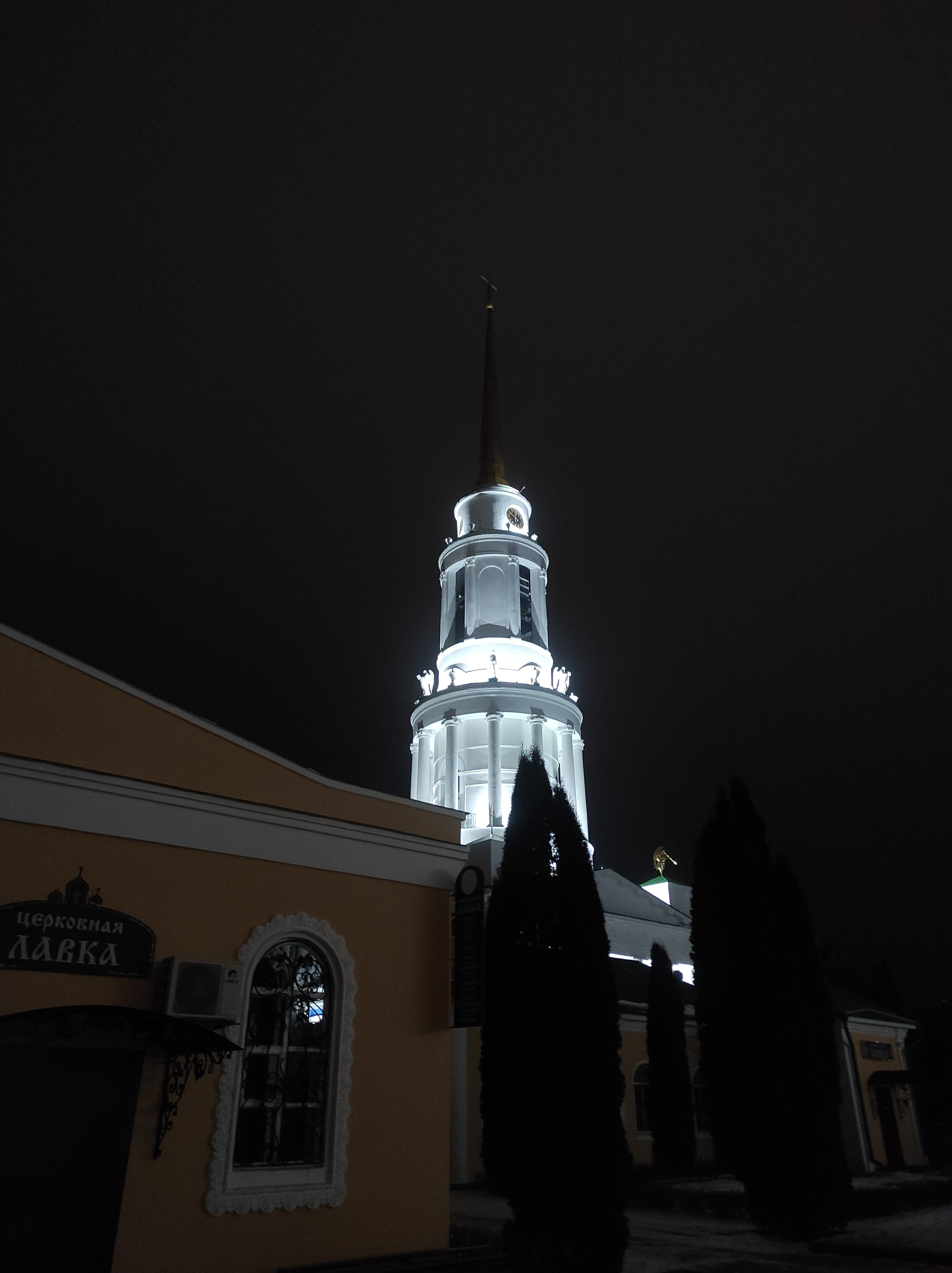 Фото Задонский