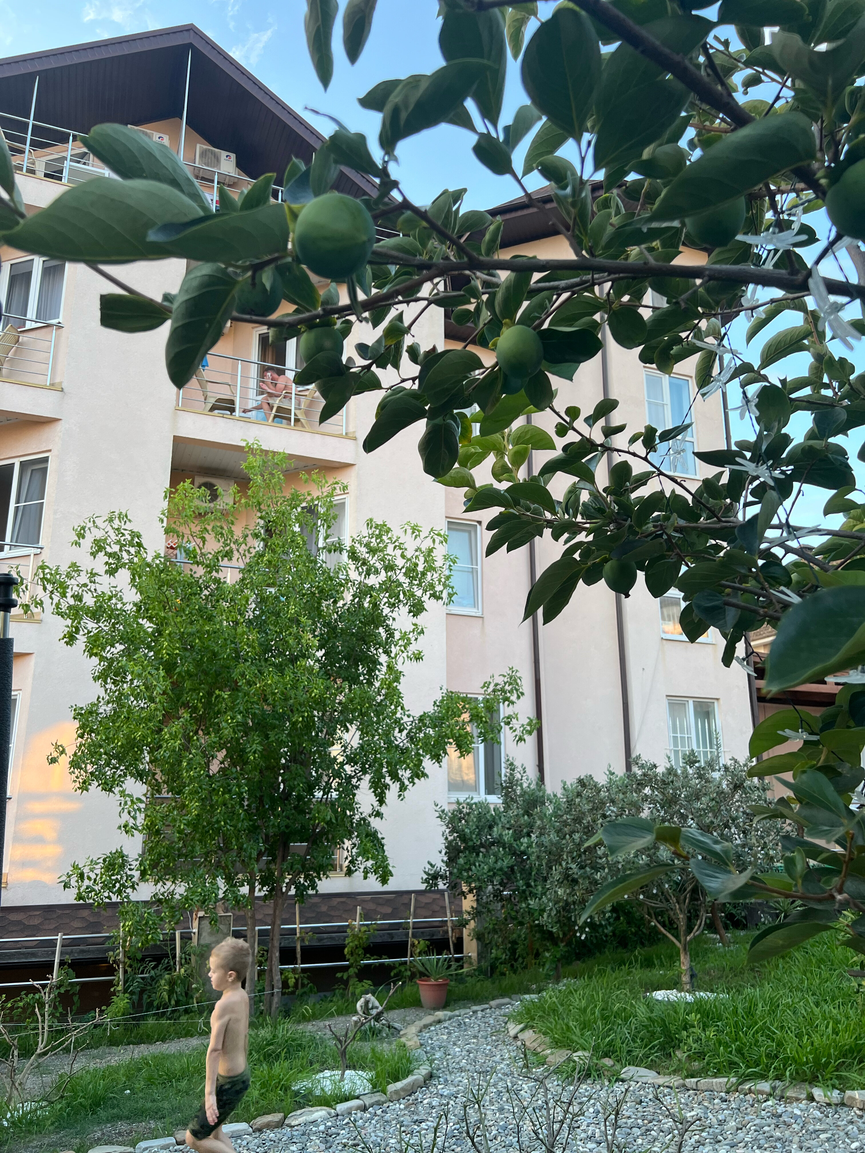 Фото Сербия