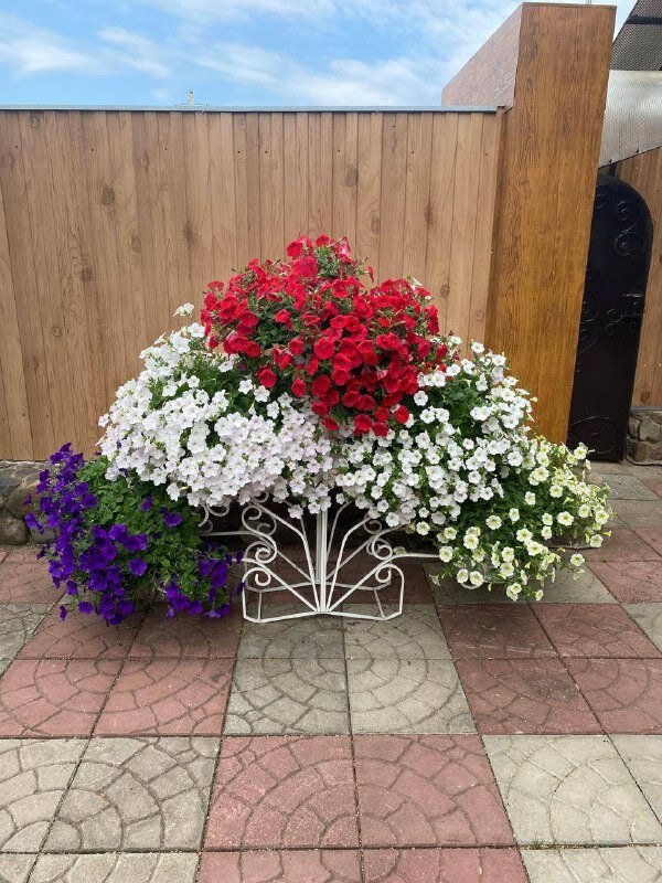 Фото У Кузьмича