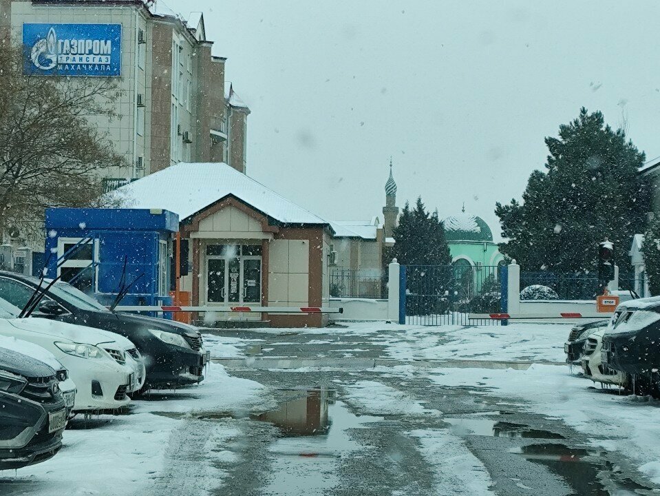 Community organization Ecologist of Dagestan, Makhachkala, photo