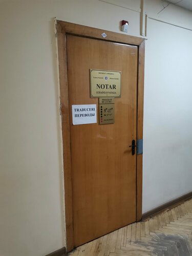 Порно фильмдердегі ит стиліндегі оргазм