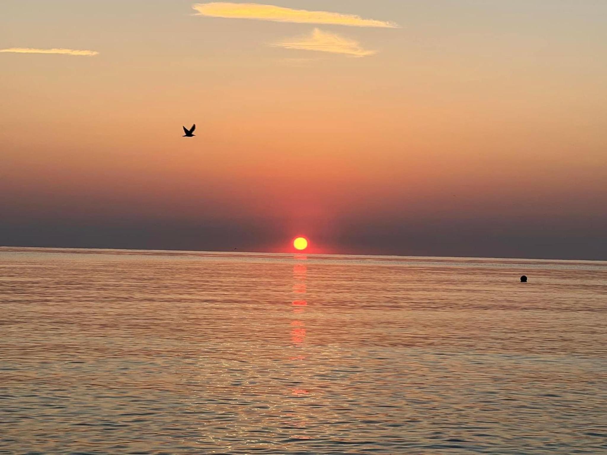 Фото Sea Complex Relax& Spa- All Inclusive