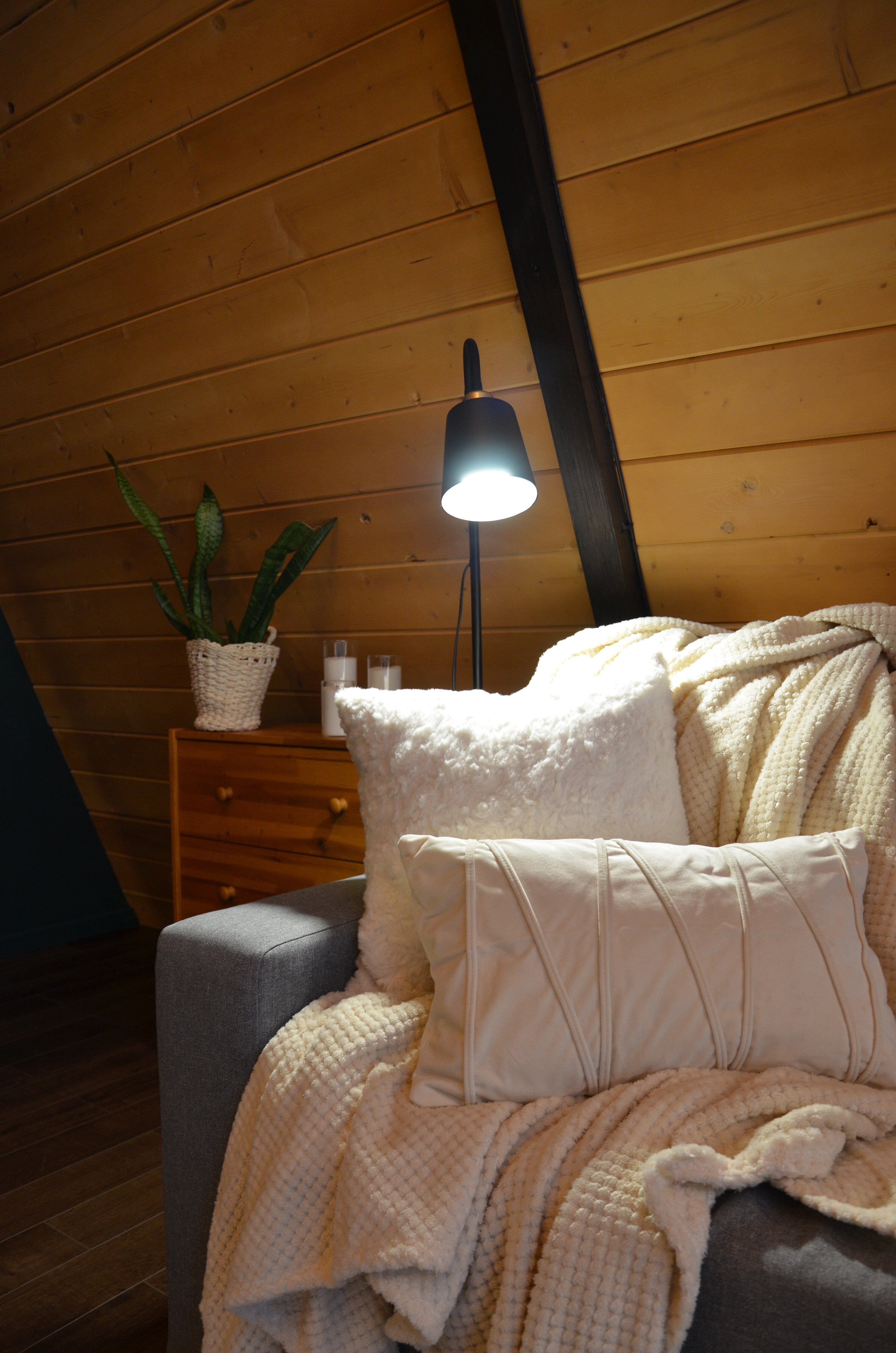 Фото Шишки Парк