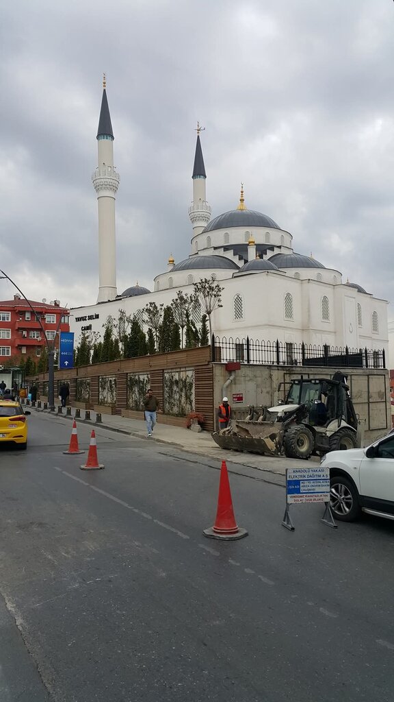 Mosque Yavuz Selim Mosque, Istanbul, photo