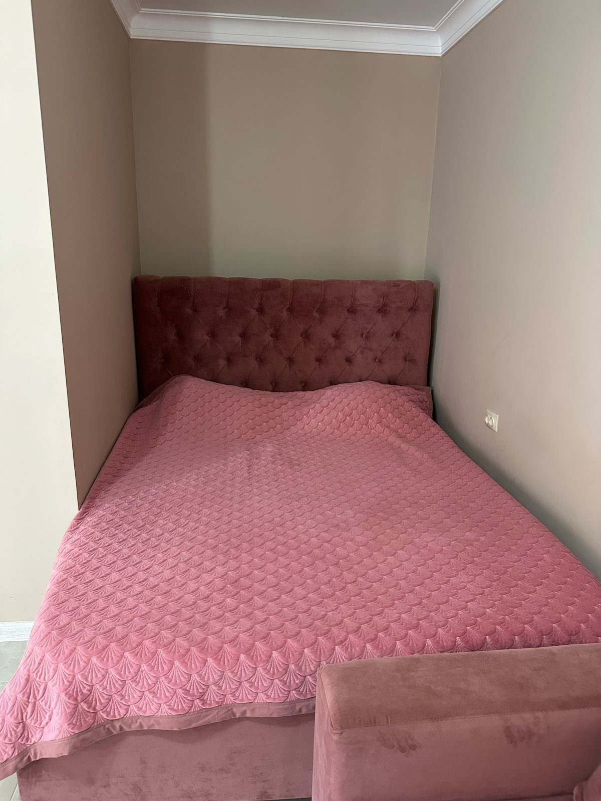 Фото Морская Звезда