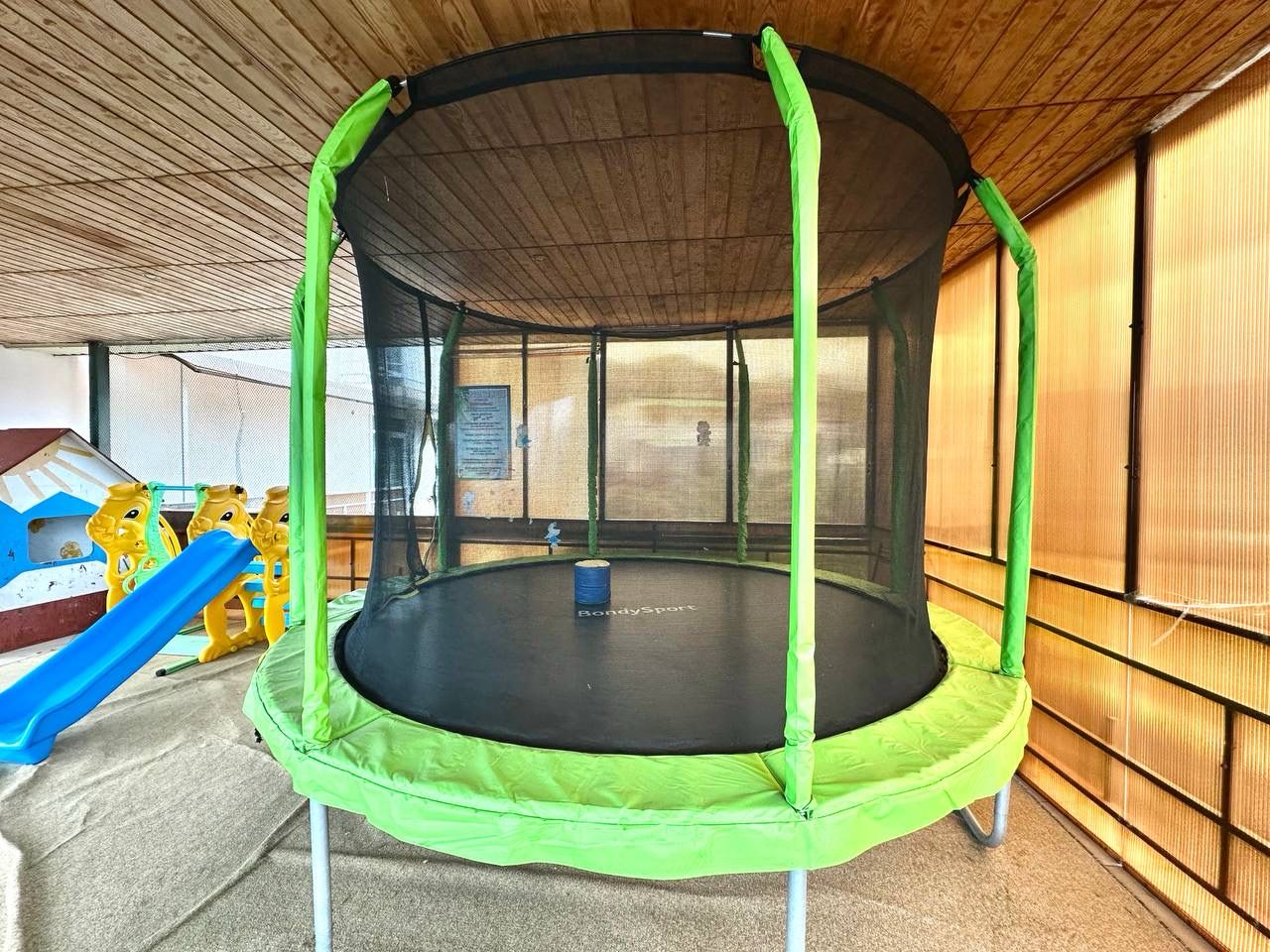 Фото АлексАндрия