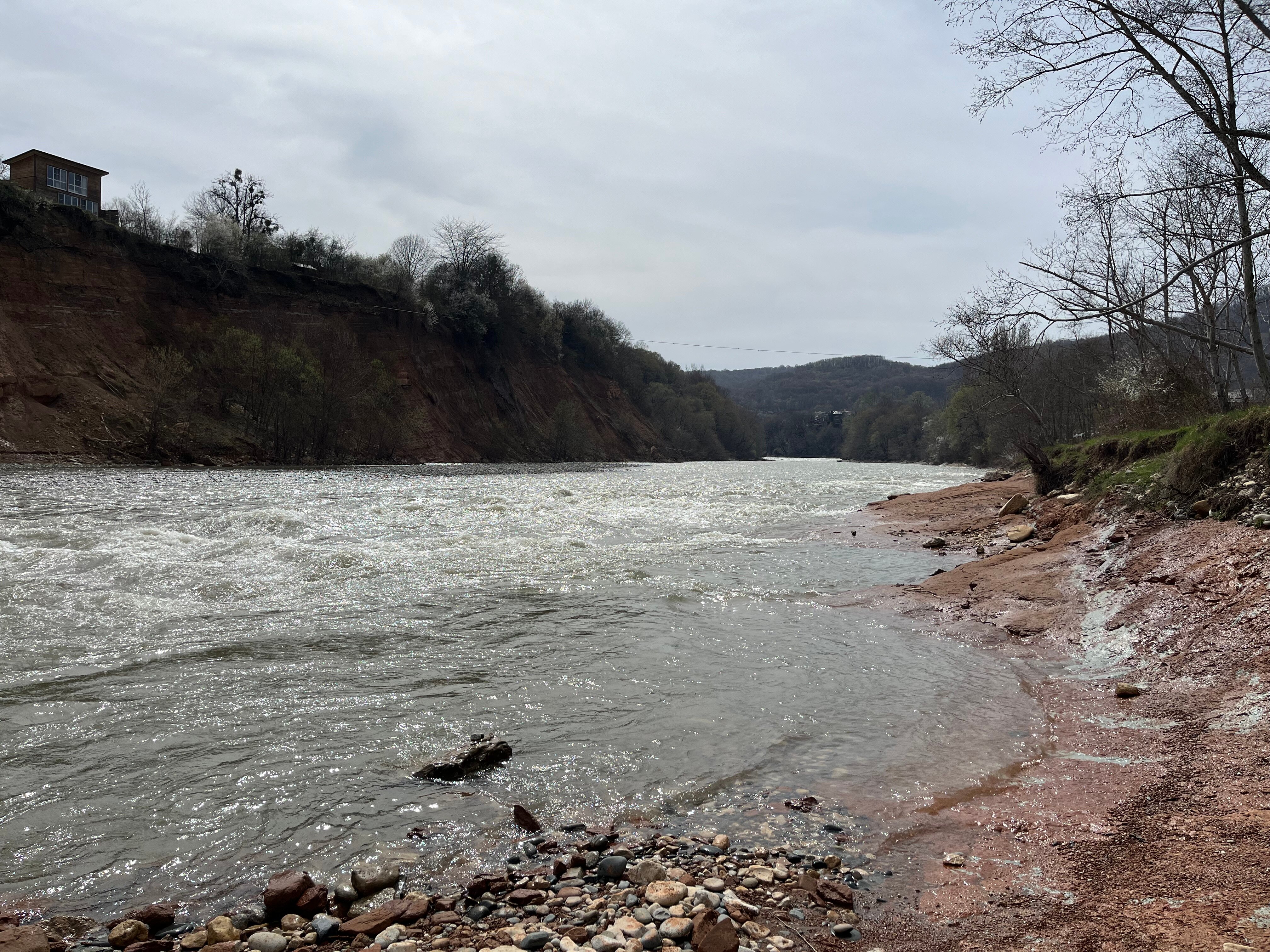 Фото Горная Лаванда