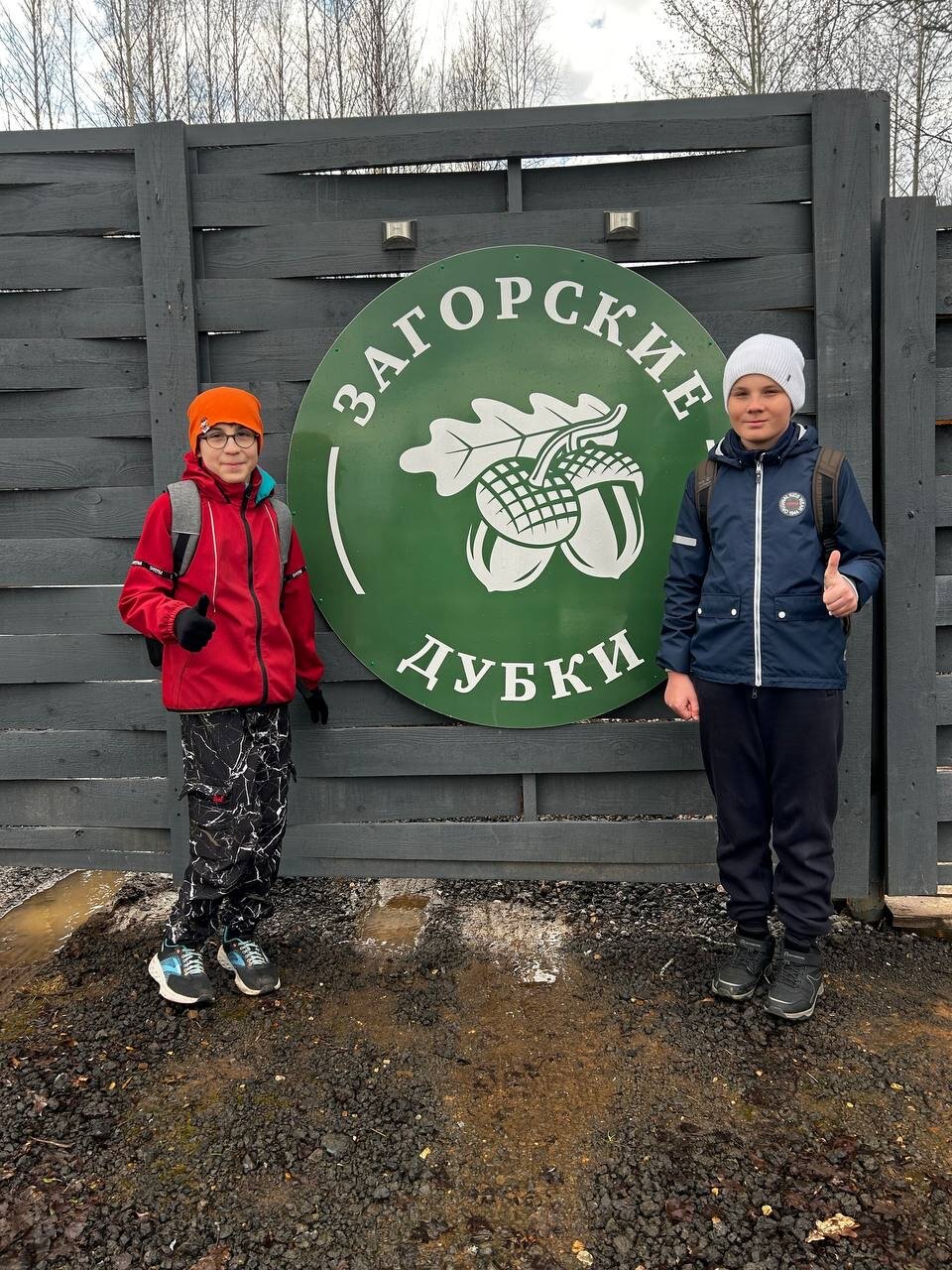 Фото Загорские дубки