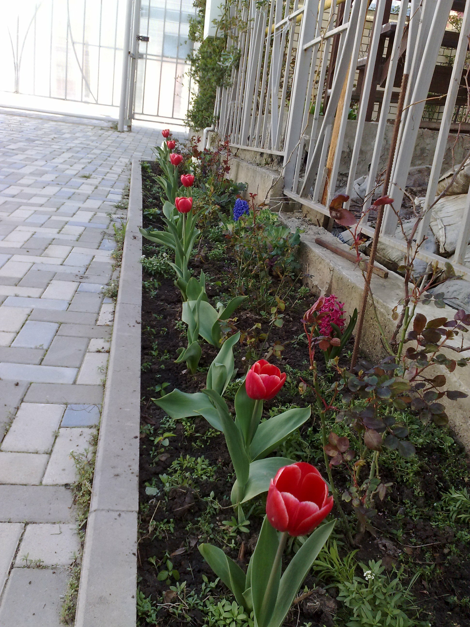 Фото Аватар Гостевой дом