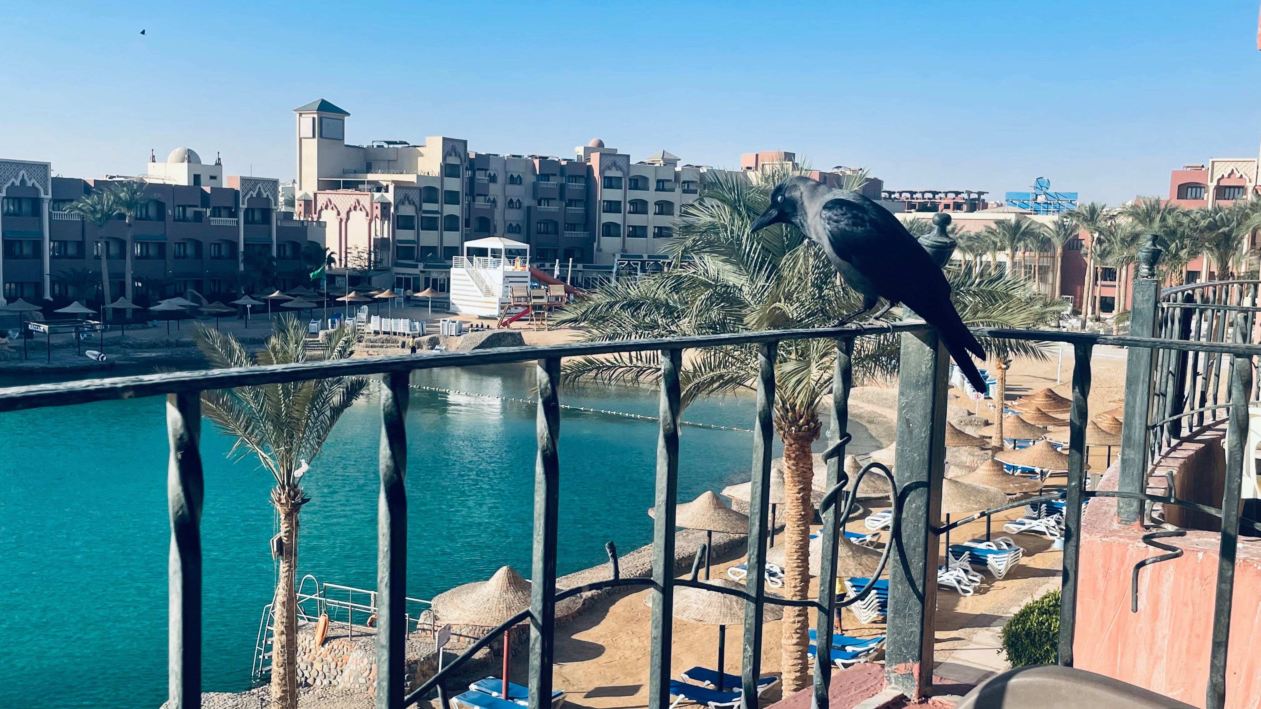 Фото Sunny Days Palma De Mirette