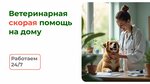 Пушистый Доктор (Kosmonavtov Street, 18к2), veterinary clinic