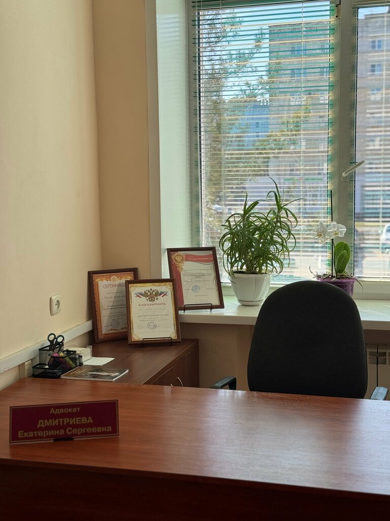 Attorney Lawer Dmitrieva E. S., Orel, photo