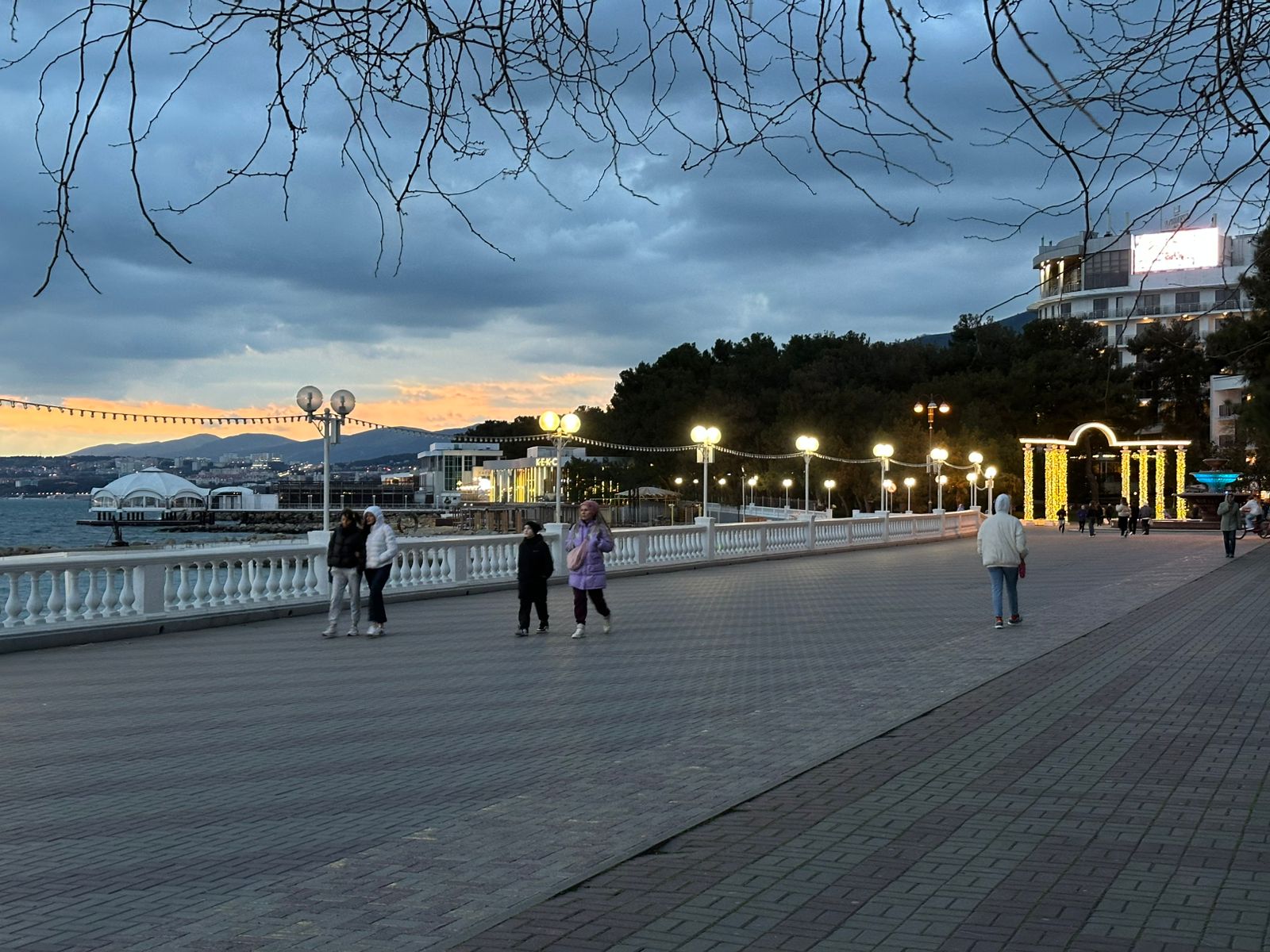 Фото Мускат