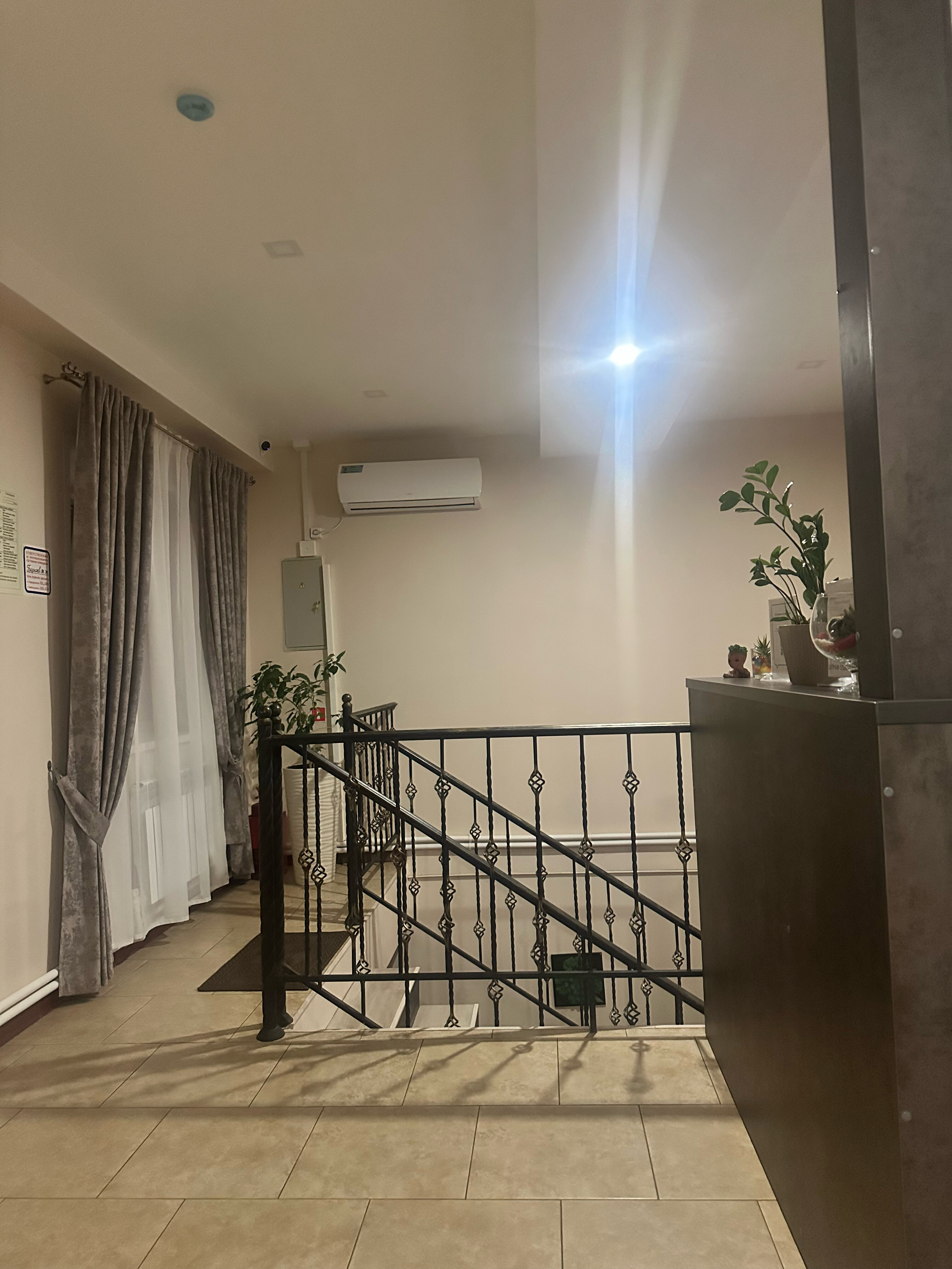 Фото Клевер