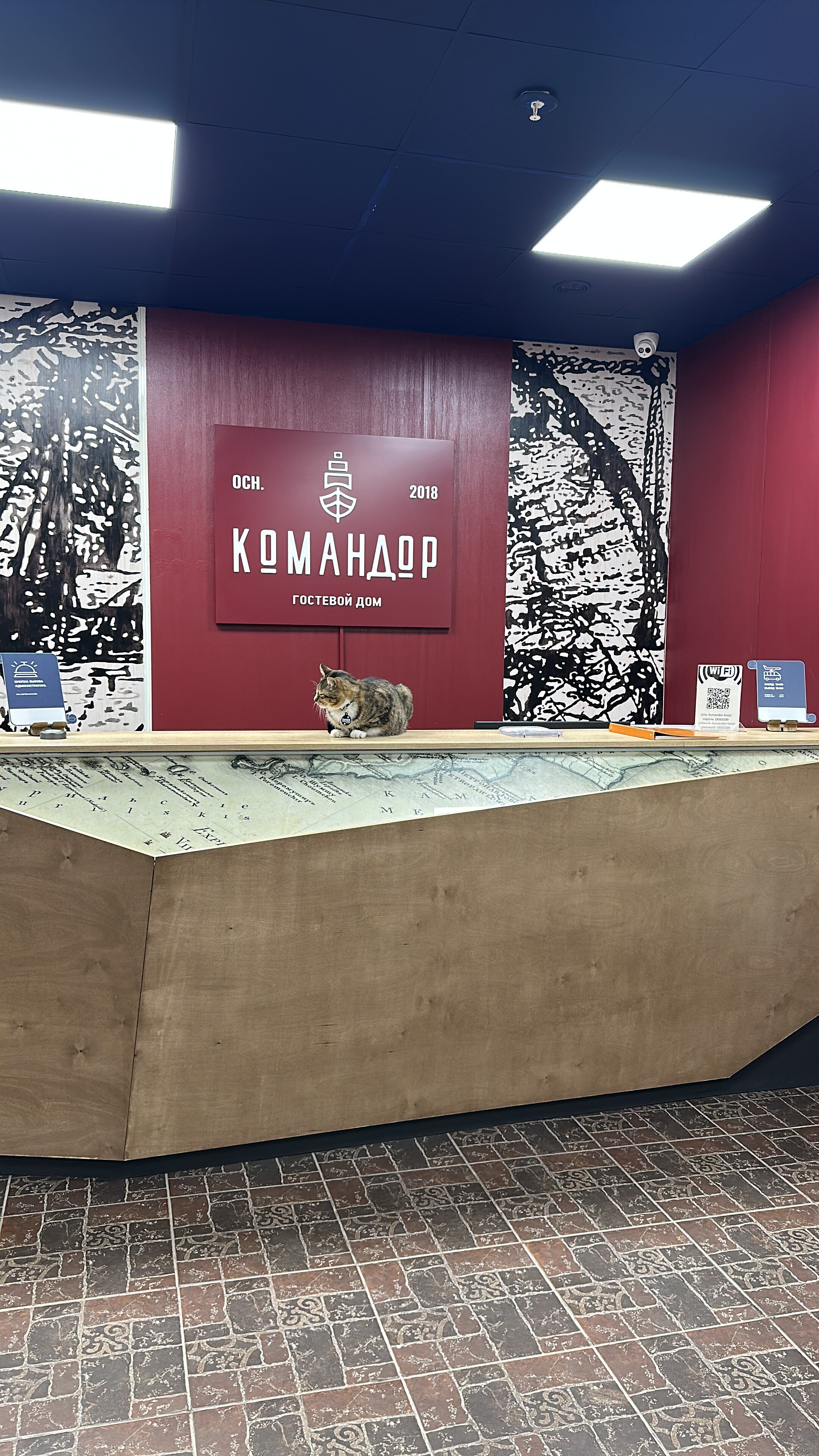 Фото Командор