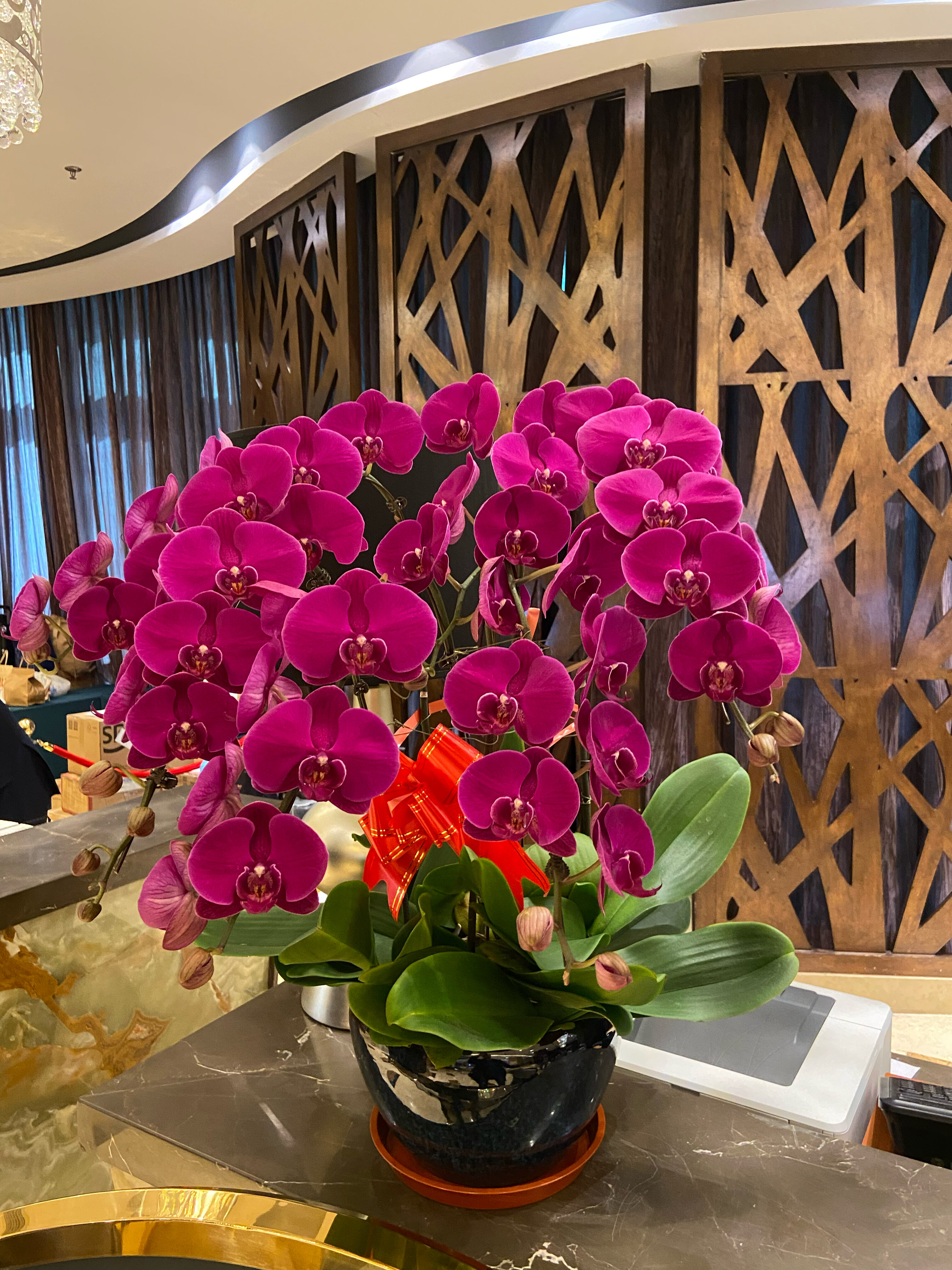 Фото Lake View Hotel