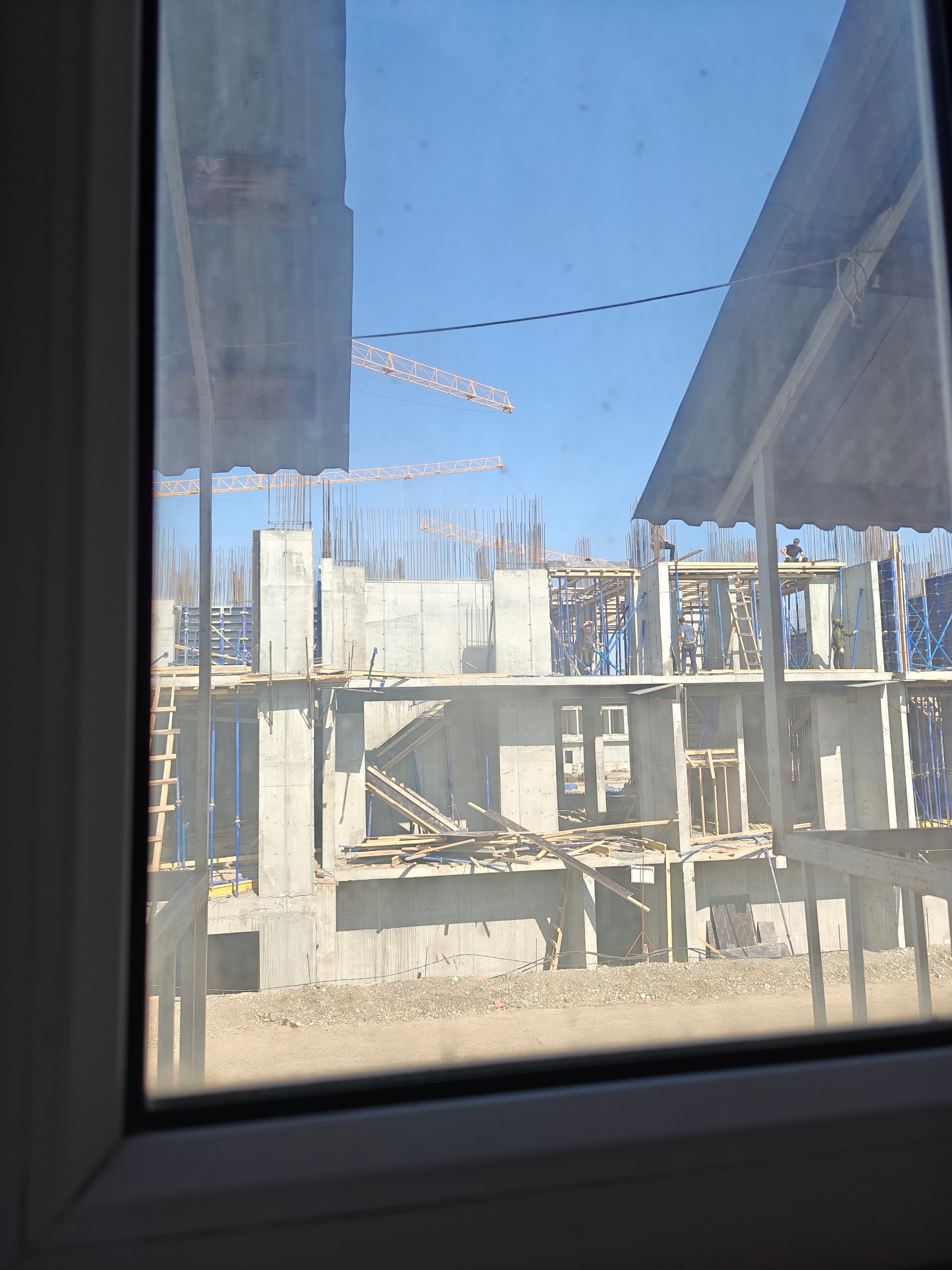 Фото Четыре сезона