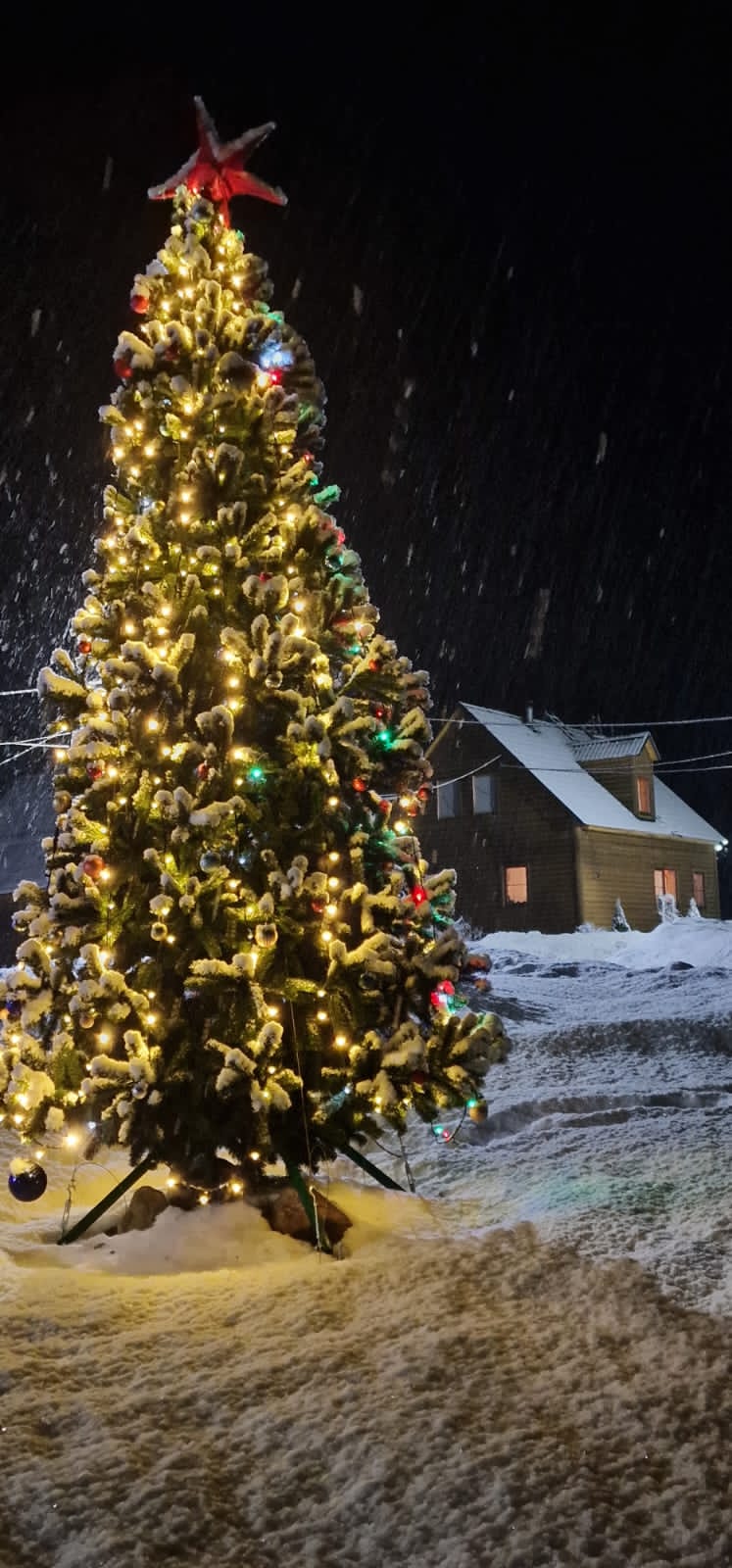 Фото Hunter Paradise