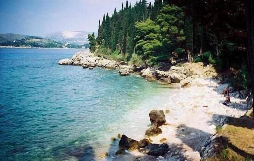 Фото Apartments Kate