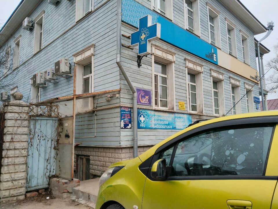 عيادة بيطرية Vologodskii veterinarnii centr ، ، صورة